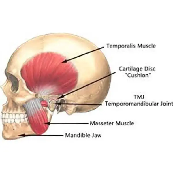 oral-surgery-3 (1)